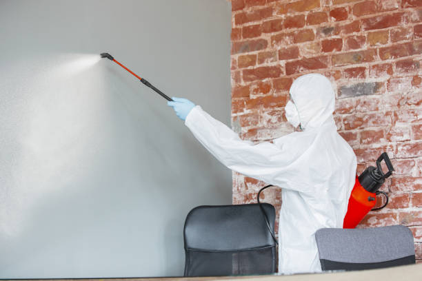 Best Residential Mold Inspection & Testing  in Artesia, NM