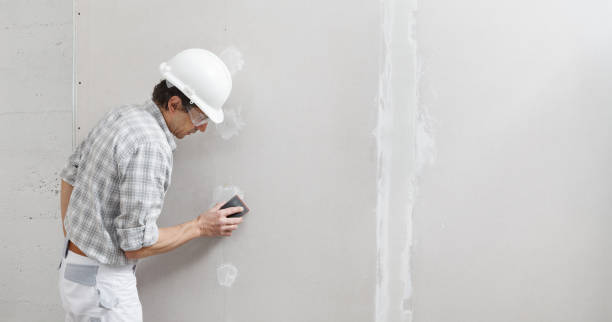 Best Real Estate Mold Inspection  in Artesia, NM