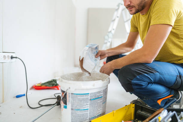 Best Attic Mold Removal  in Artesia, NM