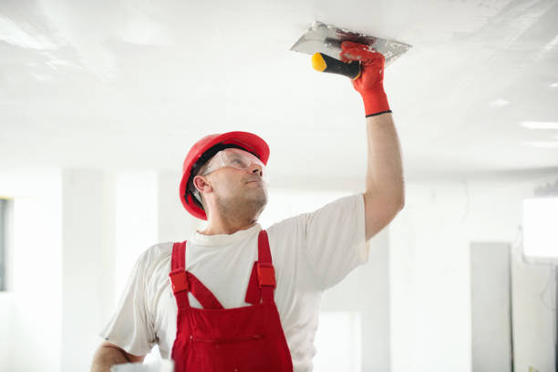 Best Environmental Consulting for Mold Prevention  in Artesia, NM