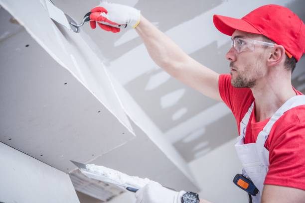 Best Water Damage & Mold Remediation  in Artesia, NM