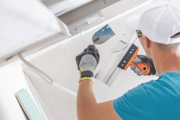 Best HVAC Mold Inspection and Cleaning  in Artesia, NM